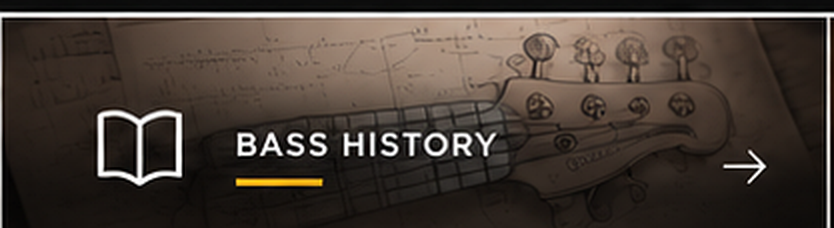 Bass History